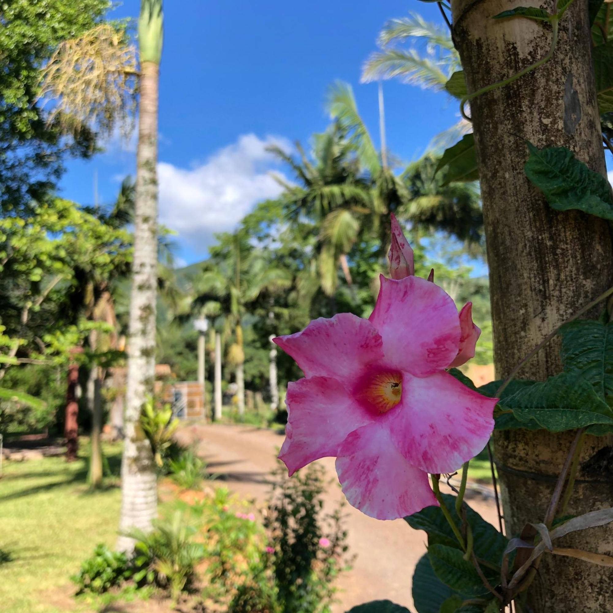 Pousada Vo Liane Praia Grande  Exteriér fotografie